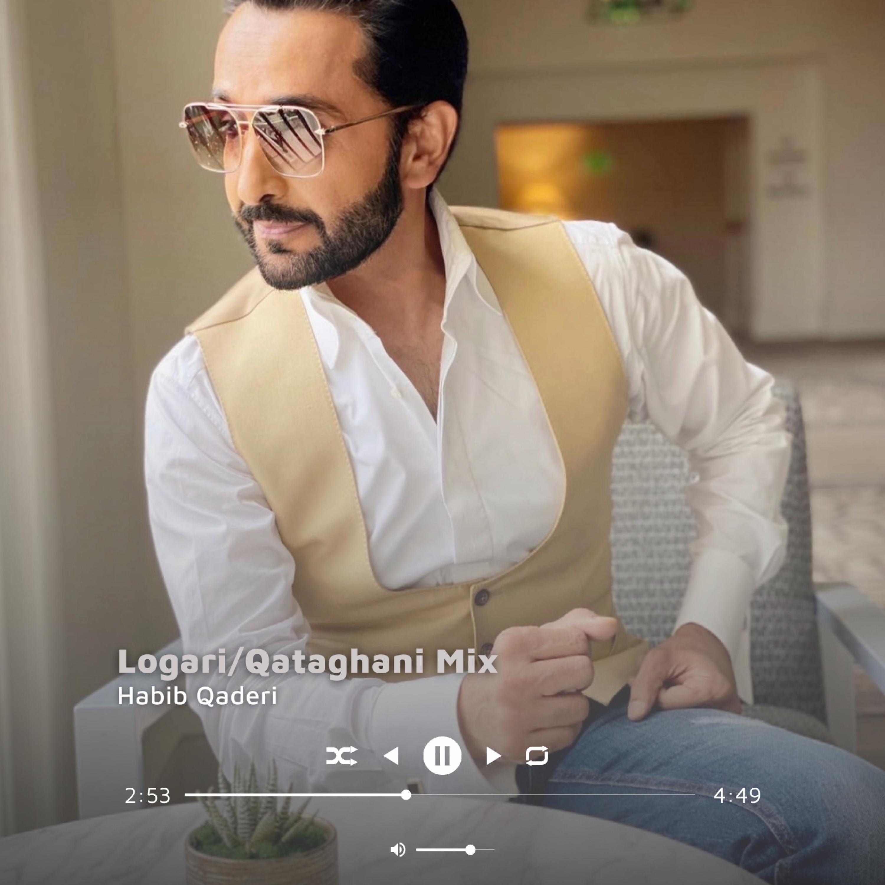 Logari/Qataghani Mix - EP