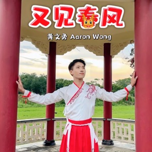Aaron Wong (黃文勇) - Cai Shen Dui Ni Xiao (財神對你笑) - Line Dance Music