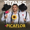 EL PICAFLOR