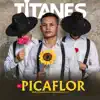 Los Titanes De La Carranga - El Picaflor