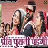 Preet Purani Padgi - Single