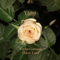 Yârim (Yarim derdini ver bana) (feat. Özlem Taner) - Single - Tayfun Guttstadt