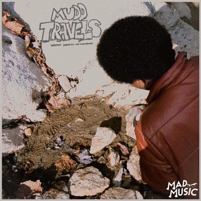 MUDD TRAVELS. (feat. Jordan Ali & Mr. TwelveRounds) - Single