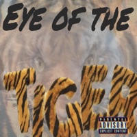Eye of the Tiger (feat. Brandy Nixole) - Single - Sqatch
