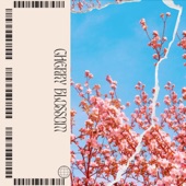 Cherry Blossom (Sped up version) artwork