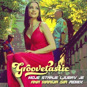 Moje stanje ljubav je (Ana Marija Šir Remix) - Single