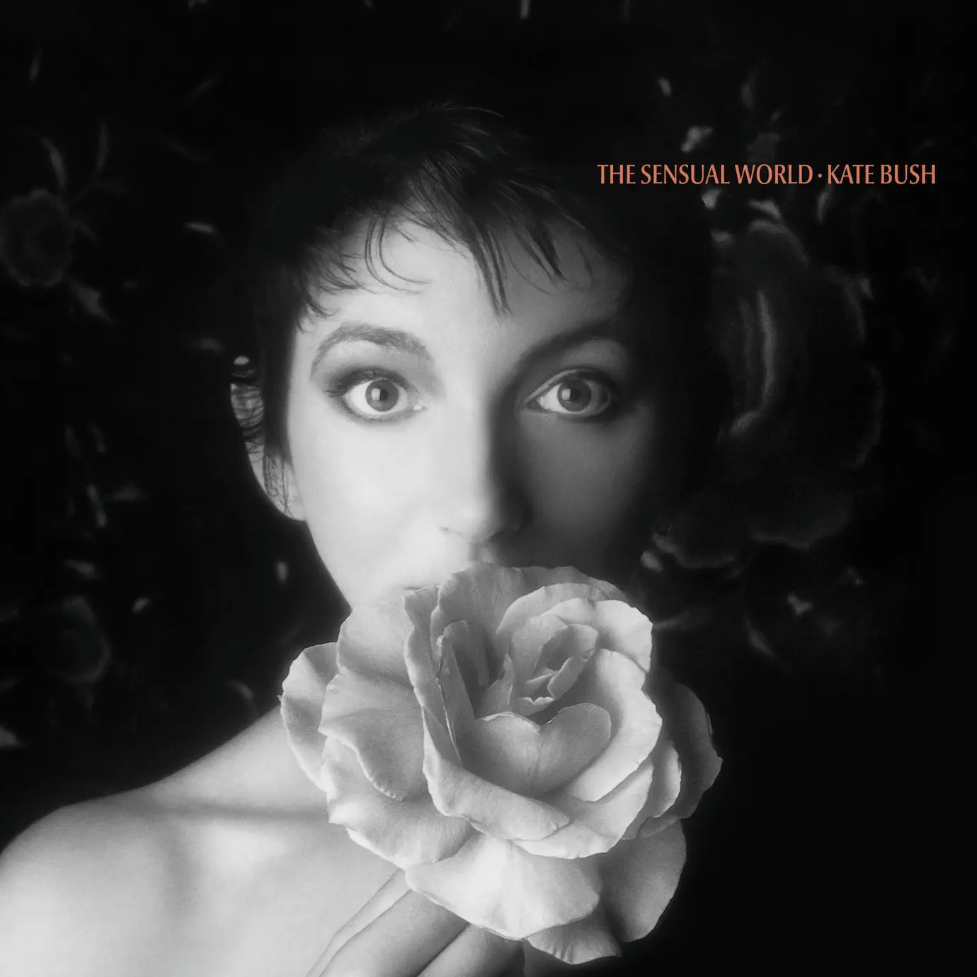 Альбом «Hounds of Love» (Kate Bush)