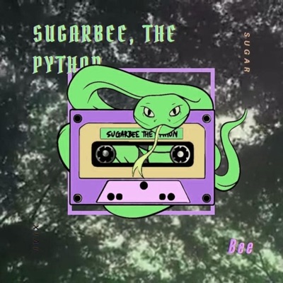 Nohtyp Eht Dna Eebragus (feat. IVIX) - EP