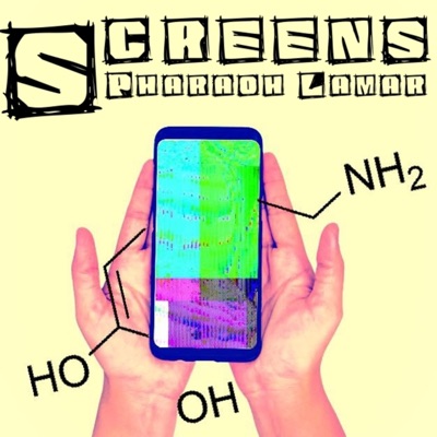 Screens - Single