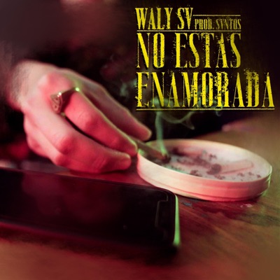 No estas enamorada - Single