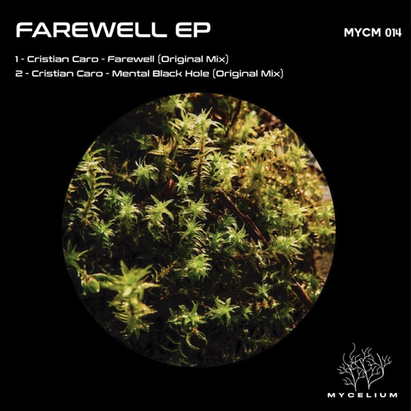 Farewell - Single