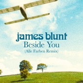Beside You (Alle Farben Remix) artwork
