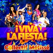 ¡ Viva la fiesta ! artwork