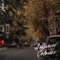 Autumn Colours - Just Derrick & John Lee lyrics