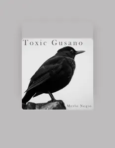 Dengarkan Merlo Negro, tonton video musik, baca bio, lihat tanggal tur & lainnya!