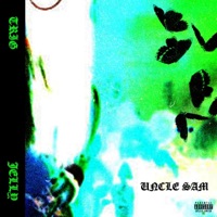 Uncle Sam (feat. Jelly) - Single - Trig