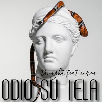 Odio su tela (feat. CORVO.mp3) - Single