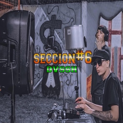 Dvssh episodio #6 - Single