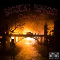 Burning Bridges - Single - Savage Boy D