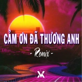 Cảm Ơn Đã Cùng Anh Đi Qua Bao Sóng Gió (Remix) artwork