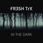 FR3SH TrX - In The Dark