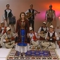 Kosova e Adem Jasharit - Single - Shkurte Fejza