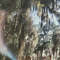 What's It Mean? (feat. soap. & Pro G) - Single - TwoFace SoSelfish