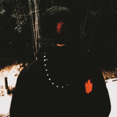 DS1 (Bonus Stage Track) [Freestyle] (feat. The Phasing Octopus) - Single