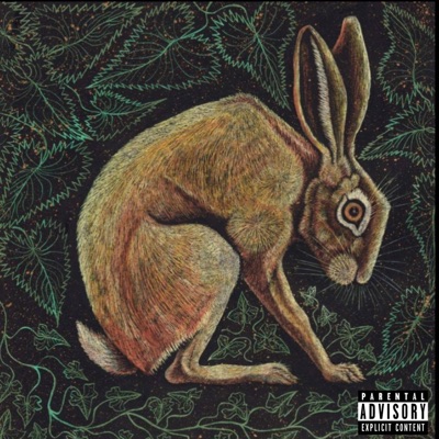 Jack Rabbit - Single