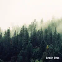Vogelgezwitscher — Berlin Rain