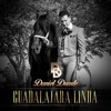 Guadalajara Linda - Single