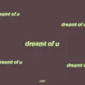 Dreamt Of U