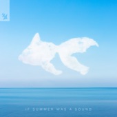 If Summer Was a Sound artwork