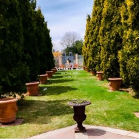 Raw Food Diet, Vol. 1.5 - EP - Vitamin Boy