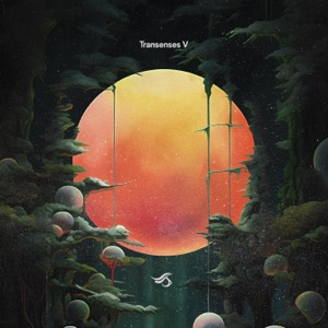 Transenses V (DJ Mix)