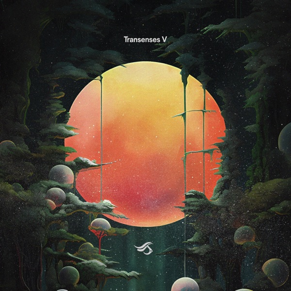 Transenses V (DJ Mix)