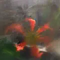 Being is a Stone