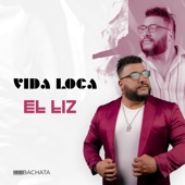 Vida Loca (feat. Bachata Sweet) artwork