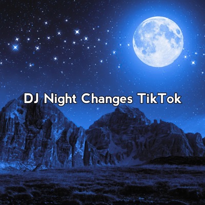 DJ Jawa - DJ Night Changes TikTok Jedag Jedug