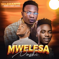 Mwelesa Ninshi (feat. Dizmo & Goddy Zambia) - Single - Selemanyo