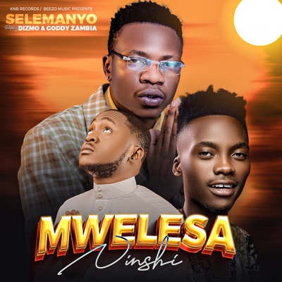 Mwelesa Ninshi (feat. Dizmo & Goddy Zambia) - Single