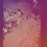 Ɪɴ ᴍʏ ʜᴇᴀᴅ ᴡɪᴛ ᴍɪɢᴏꜱ (ʟʟᴛ) - Single - doloooinnasplatt