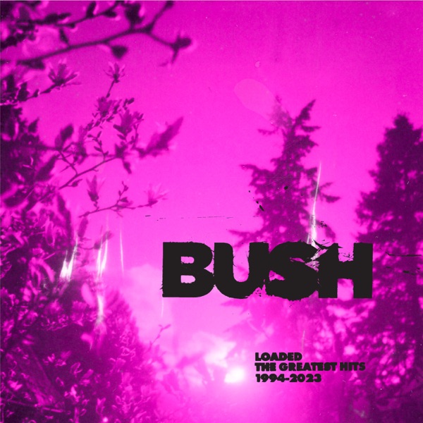 Bush - More Than Machines