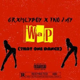 WAP (That One Dance) (feat. TN0jay) GrxmeyBoy