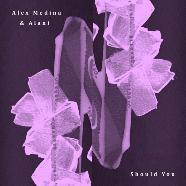 Should You / Broken Window - Single