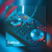 Salting (DJ Remix) artwork