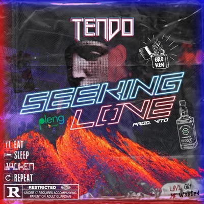 Seeking Love - Single