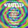 Whatever (gladde paling Remix) cover art