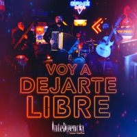 Voy a Dejarte Libre - Single - Inteligencia Norteña