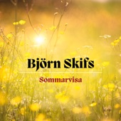 Sommarvisa artwork